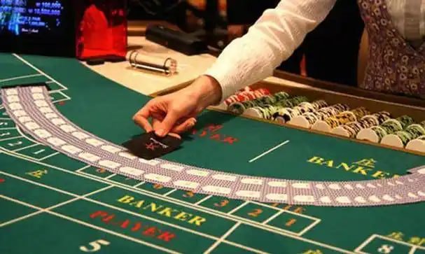 xun88
